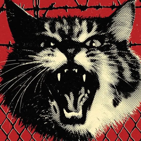 O Abrigo dos Animais, de Tom King e Peter&nbsp;Gross